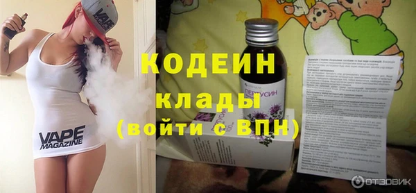 прущие грибы Лабытнанги