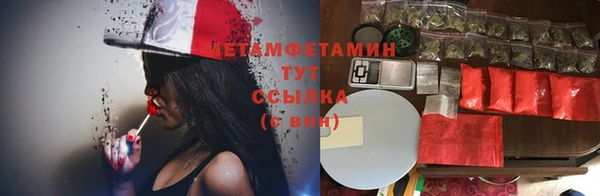 прущие грибы Лабытнанги
