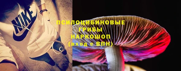 прущие грибы Лабытнанги